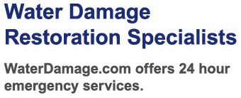 Water Damage Restoration Specialists